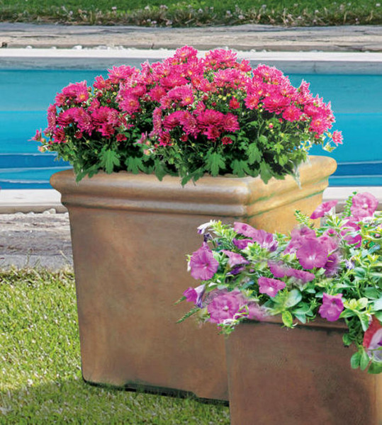 Sculpted flower garden vase planters architectural cement durable